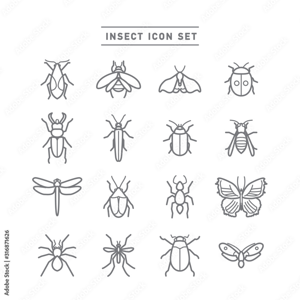 INSECT ICON SET INSECT ICON SET