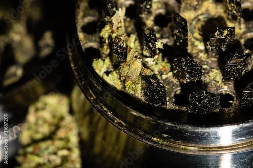 A small amount of marijuana caught in the teeth of a spice grinder being used to grind the pot for use.