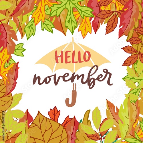 Hello november poster with bright autumn birch, elm, oak, rowan and maple leaves frame vector illustration with umbrella and lettering. Falling cartoon colorful leaves poster.