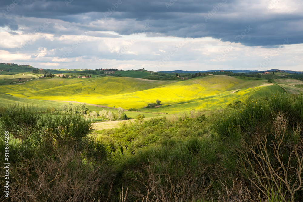 Obraz premium Tuscan spring landscape