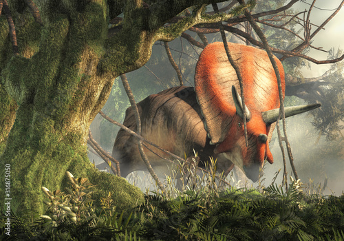 Torosaurus was ceratopsian dinosaur that was a frilled and horned, four legged animal. It lived during the cretaceous period. In a dense jungle. 3D Rendering © Daniel Eskridge