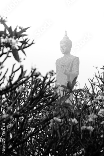 The Buddha image is behind the bush