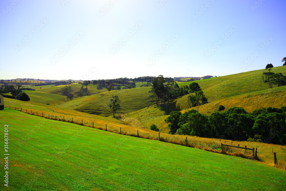 mountain and farm landscape