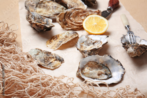 Tasty oysters on color background