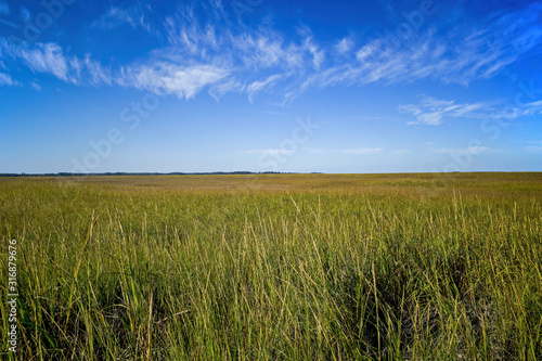 Saltmarsh along the Delaware coast in USA in late afternoon sun. Also known as a coastal salt marsh or tidal marsh it is located between land and brackish water that is regularly flooded by the tides.