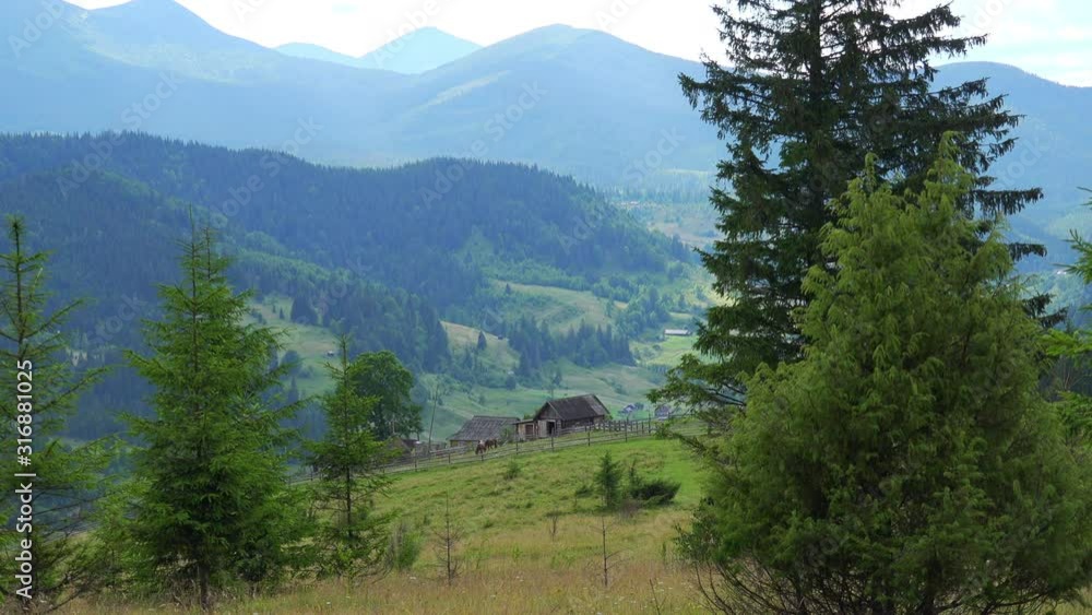 Traditional wooden house on green meadow in highland village. Carpathian mountains on background on cloudy weather. Idyllic view countryside life. Horses and cow walking and eating grass on pasture Traditional wooden house on green meadow in highland village. Carpathian mountains on background on cloudy weather. Idyllic view countryside life. Horses and cow walking and eating grass on pasture