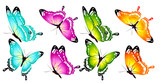 butterfly404