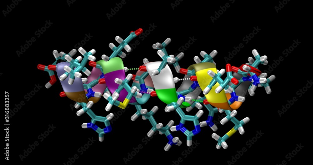 Alpha helix of a protein, stick representation Alpha helix of a protein, stick representation