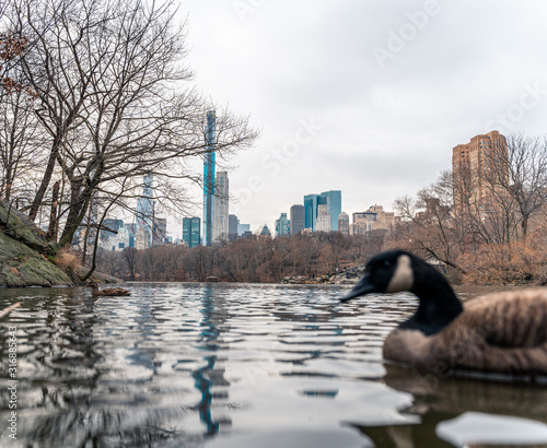 New york city in the winter