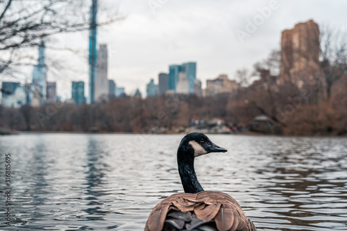 New york city in the winter