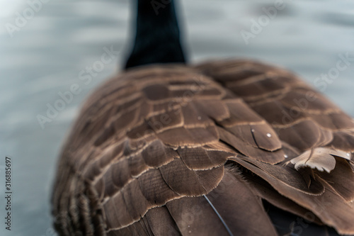 New york city in the winter