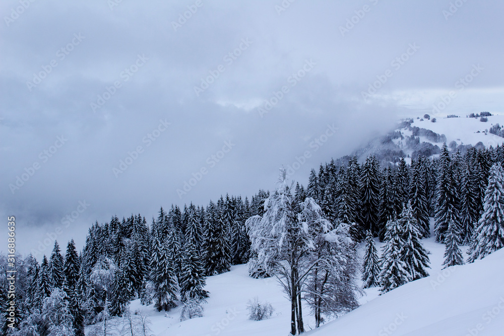 Obraz premium winter mountain foggy top white snow forest landscape wild season nature 