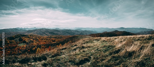 Obraz na płótnie Max Patch