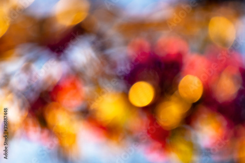 abstract nature blur. bokeh of blossom and foliage in spring. bright backlit background