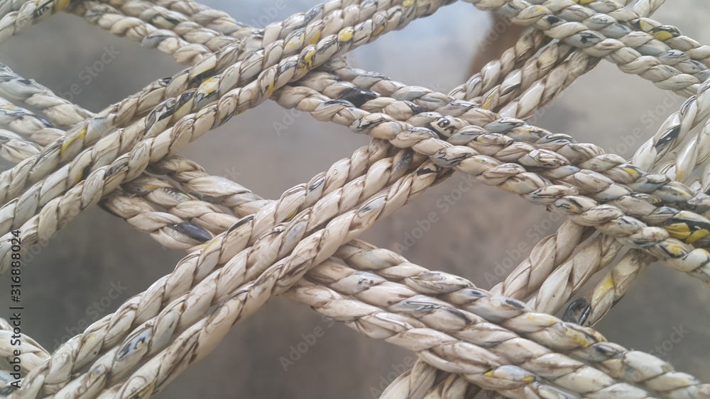 Dried jute thread or ropes interwoven for making traditional bed