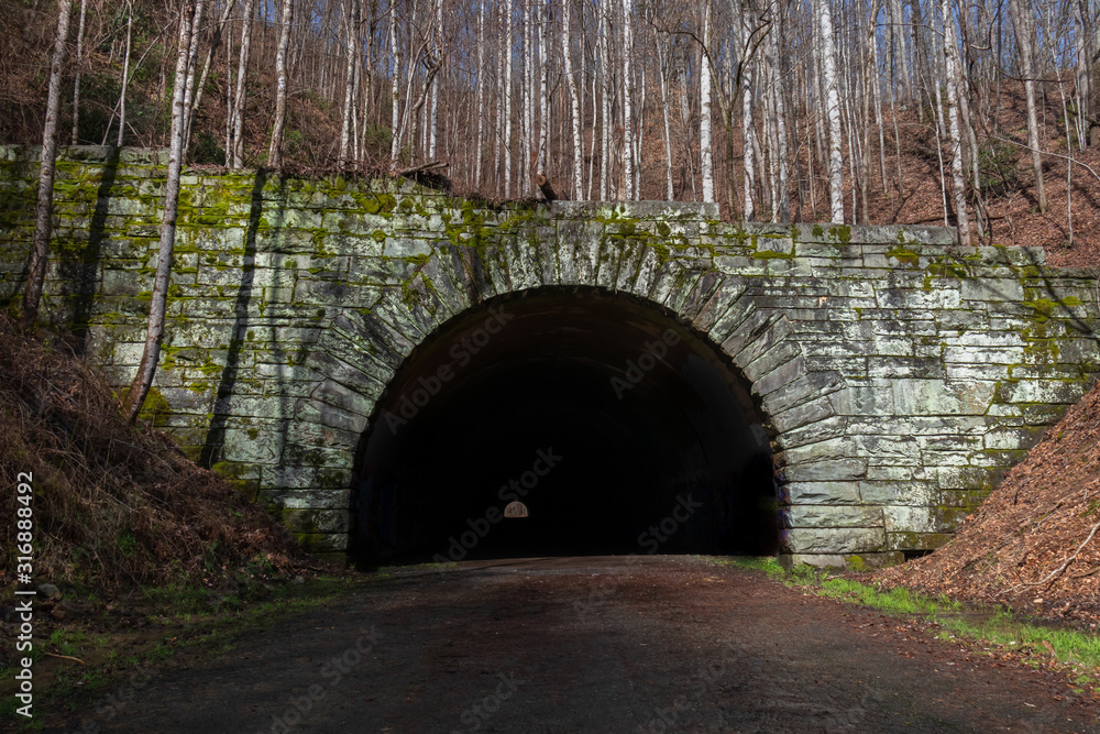 Obraz premium Road leading into a tunnel