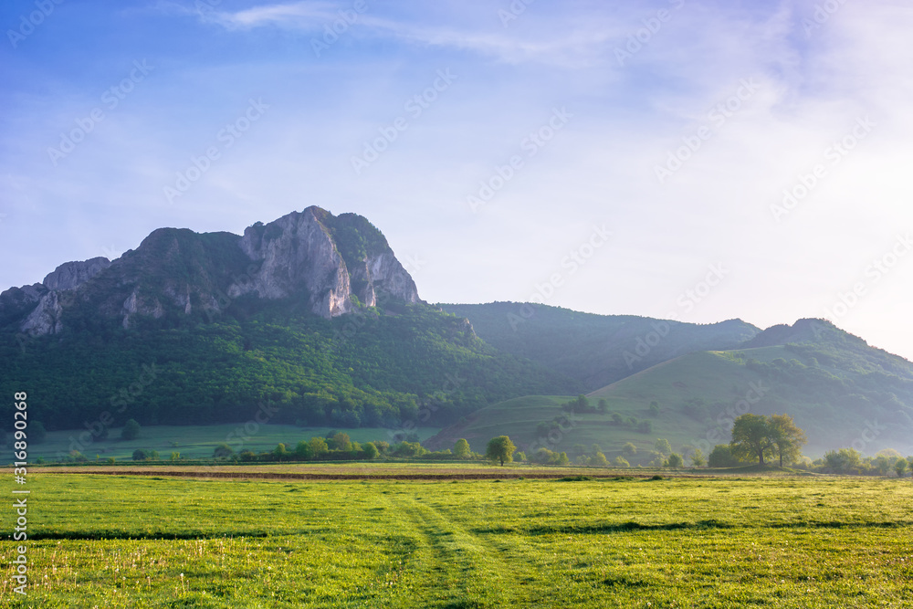 rock formation on the field at sunrise. beautiful rural landscape in mountains. wonderful scenery in spring. clouds on the blue sky. forest on the hills rock formation on the field at sunrise. beautiful rural landscape in mountains. wonderful scenery in spring. clouds on the blue sky. forest on the hills