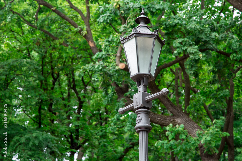 iron street lamp in retro style with glass inserts and design elements, in the park in the background trees with branches and green leaves on a summer day.