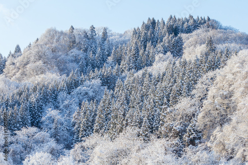 Wallpaper Mural 秋田県の雪景色　冬の朝　山と森林 Torontodigital.ca