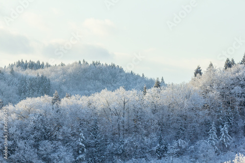秋田県の雪景色 冬の朝 山と森林