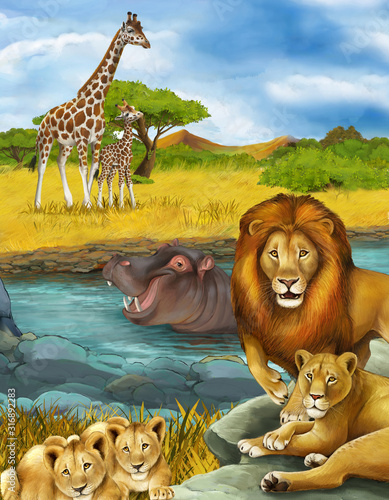 cartoon scene with hippopotamus hippo swimming in river and lion illustration