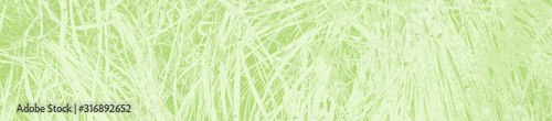 abstract light green background with copy space for design