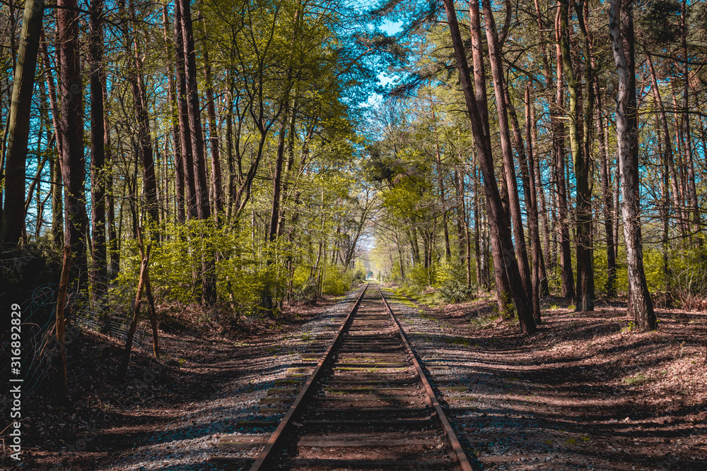 Railroad in the middle of the woods Railroad in the middle of the woods