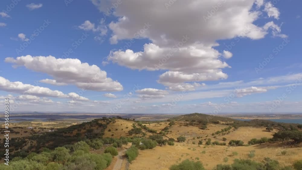 cork oaks forest field in Alentejo, portugal 4k cork oaks forest field in Alentejo, portugal 4k