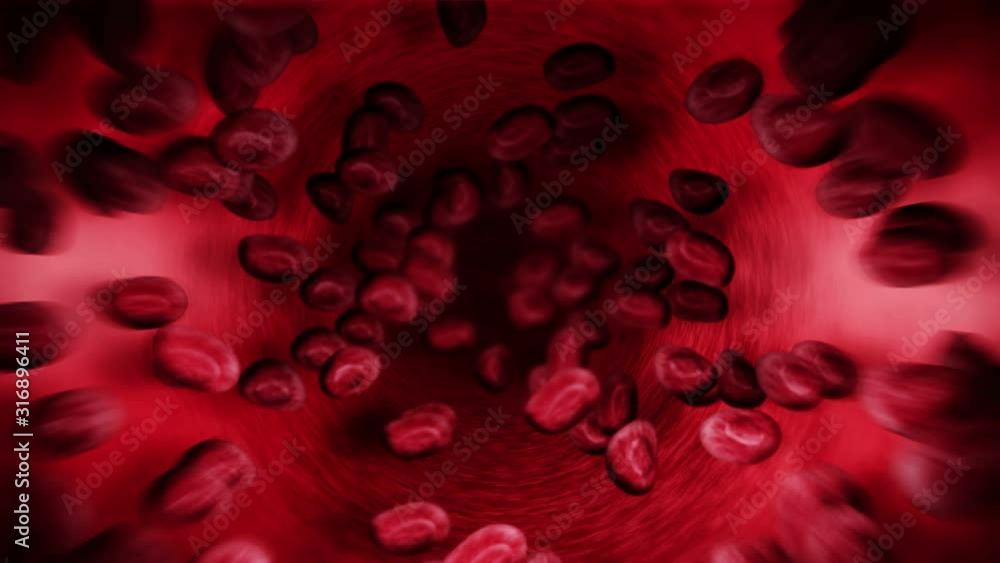 Human circulatory system. 3D loop animation of human blood vessel with red blood cells. Medical health care symbol. Human circulatory system. 3D loop animation of human blood vessel with red blood cells. Medical health care symbol.