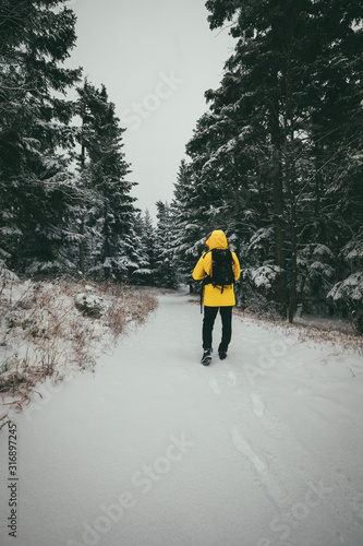 Young man walking in winter landscape on forest path in yellow jacket