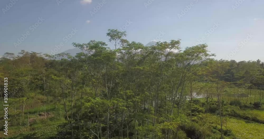 Beautiful aerial view of Mount Merapi in the morning from the back of the tree Beautiful aerial view of Mount Merapi in the morning from the back of the tree