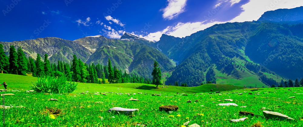 Beautiful landscape view of Sonamarg in Thajiwas park in Jammu and Kashmir,  India Stock Photo | Adobe Stock