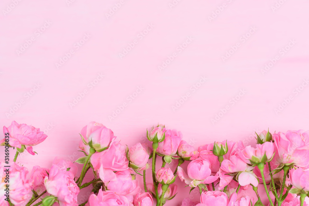 Pink roses bouquet on pink background