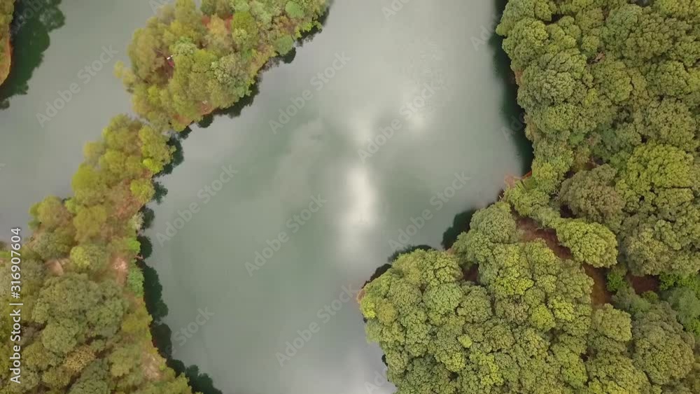Lake in middle of the forest with green water and wide sky reflect, cenital shot Lake in middle of the forest with green water and wide sky reflect, cenital shot