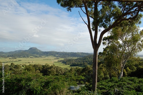 Landscape Sunshine Coast Australia