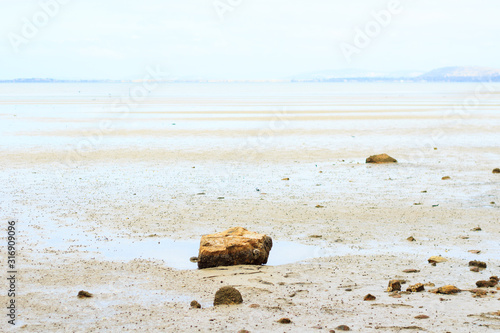 Rocks and driftwood on the beach