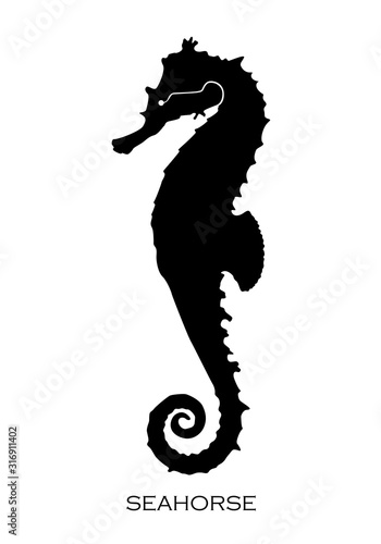 Stylized graphic Seahorse. Silhouette illustration of sea life. Sketch for tattoo on isolated white background. Vector flat logo icon