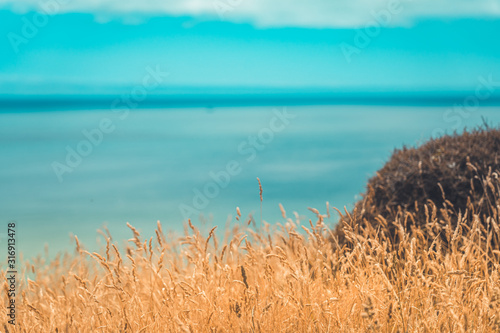 Landscape of Wellington  New Zealand  Scenic view from Makara beach