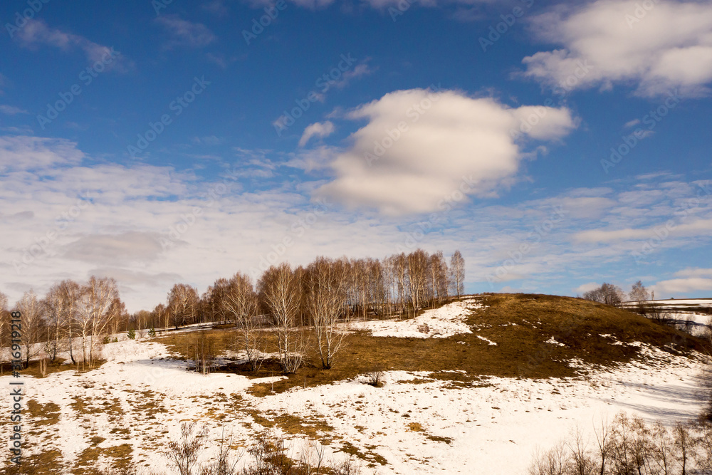 Melting snow in March. Spring sunny countryside landscape.
