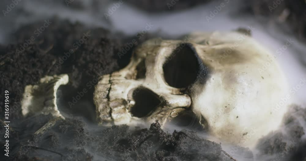 Human skull on the wet soild with smoke flowing Human skull on the wet soild with smoke flowing