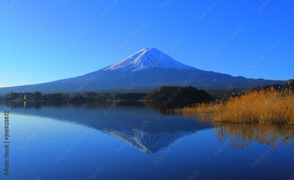 Mt. Fuji of clear blue sky from Oishi Park in Lake Kawaguchi Yamanashi Prefecture Japan 01/02/2010