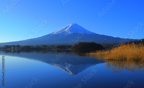 Mt. Fuji of clear blue sky from Oishi Park in Lake Kawaguchi Yamanashi Prefecture Japan 01/02/2010