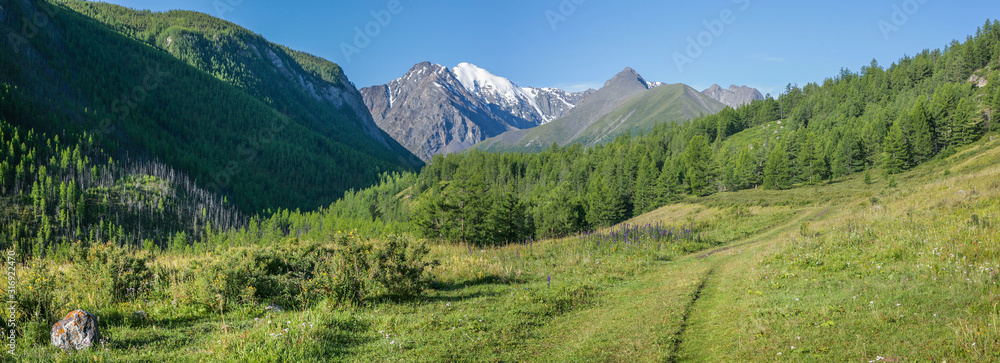 Obraz premium Summer in the Altai Mountains, panorama landscape