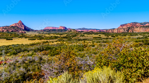 Kolob Plateau in the Zion National Park, Utah, United States. Viewed from the Kolob Terrace Road with Pine Valley Peak in the background