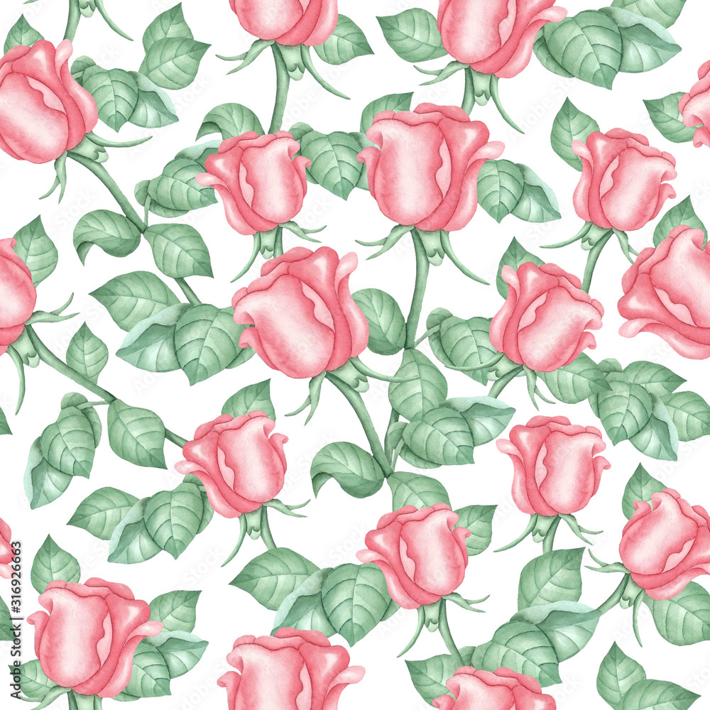 Pattern of pink roses