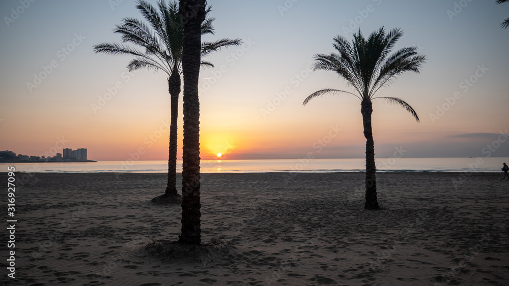 The silhouette of palm trees and the sun rising over the Mediterranean sea in the coastal town of Cullera, which is located in the community of Valencia, in Spain, Europe