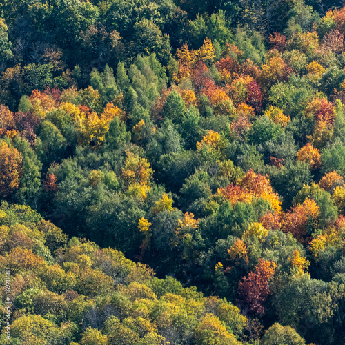 vue aérienne de la forêt à l'automne aux Alluets-le-Roi dans les Yvelines en France