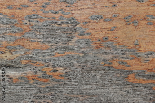 wood board texture weathered background