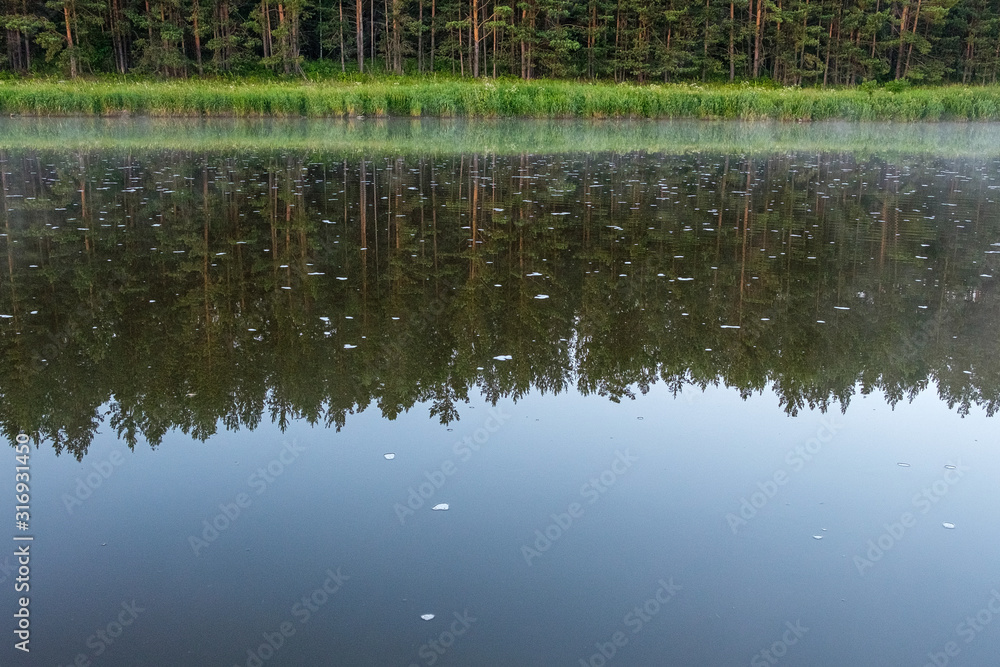 the reflected forest of the opposite Bank in the river on which frothy chunks the reflected forest of the opposite Bank in the river on which frothy chunks