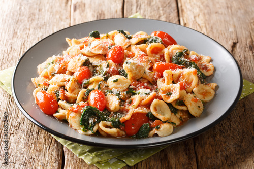 Photography Vegetarian Italian pasta orecchiette with spinach in tomato sauce close-up in a plate on the table